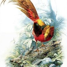 Схема вышивки «Серия "Птицы"»