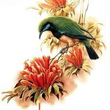 Схема вышивки «Серия "Птицы"»