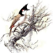 Схема вышивки «Серия "Птицы"»