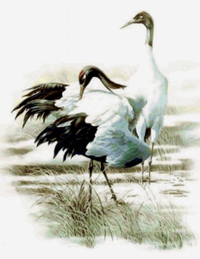 Серия "Птицы" - птицы, растение, природа - предпросмотр