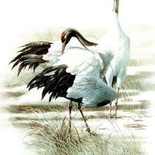 Схема вышивки «Серия "Птицы"»