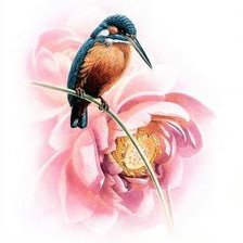 Схема вышивки «Серия "Птицы"»