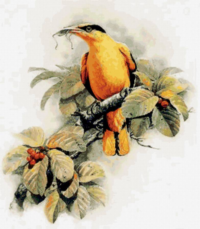 Серия "Птицы" - птицы, растение, природа - предпросмотр