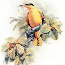 Схема вышивки «Серия "Птицы"»