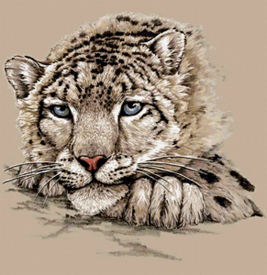 дикая природа - предпросмотр