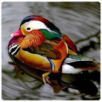 Схема вышивки «уточка»