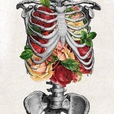 Схема вышивки «Цветы смерти»