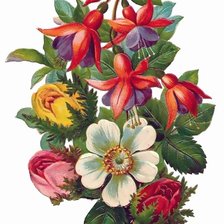 Схема вышивки «букет с фуксией»