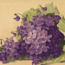 Схема вышивки «букет фиалок»