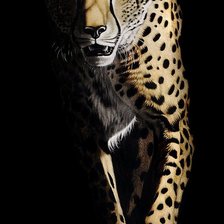 Схема вышивки «Гепард»