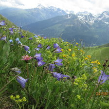 Схема вышивки «На  кавказе»