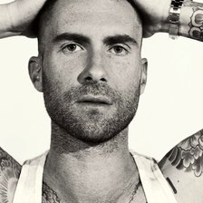 Схема вышивки «Адам Левин»