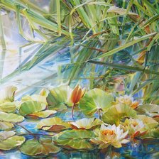 Схема вышивки «№408041»