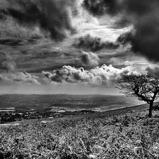 Схема вышивки «природа в чёрно-белом»