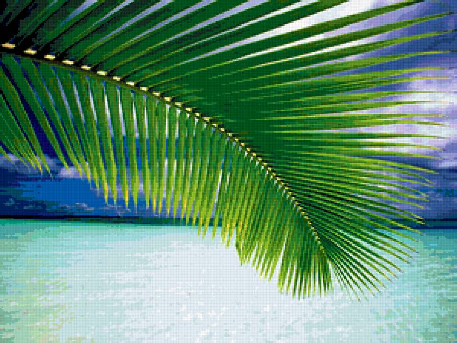 океан и пальма - океан, пальма - предпросмотр