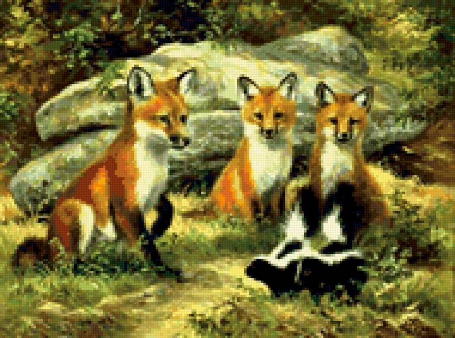 0126 - лето, природа, картина, животные, красота, лес, лиса - предпросмотр