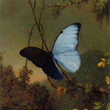 Схема вышивки «Бабочка»