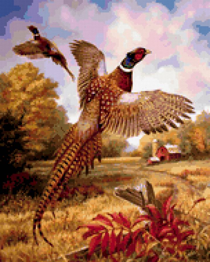 0130 - птицы, природа, лето, красота, картина - предпросмотр