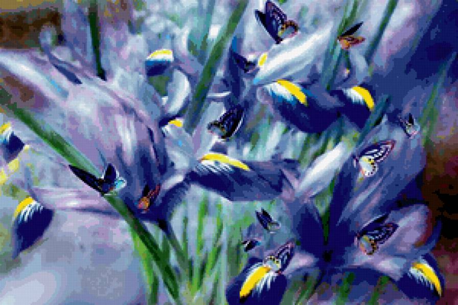 Бабочки с ирисами - ирисы, цветы, бабочки - предпросмотр