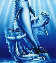 Схема вышивки «delfini»