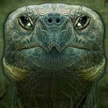 Схема вышивки «чарепаха»