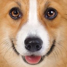 Схема вышивки «дружок»