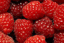 сочная малина