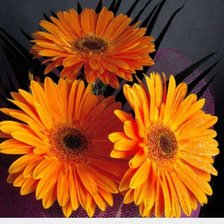 Схема вышивки «№408461»