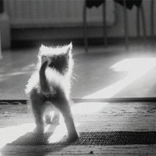 Схема вышивки «котёнок»