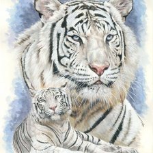Схема вышивки «Белый тигр»