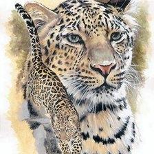 Схема вышивки «Леопард»