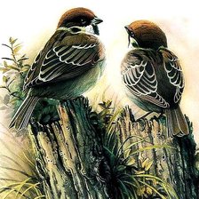 Схема вышивки «Воробышки»