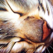 Схема вышивки «Соня»