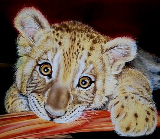 Такие грустные глаза - животные - оригинал