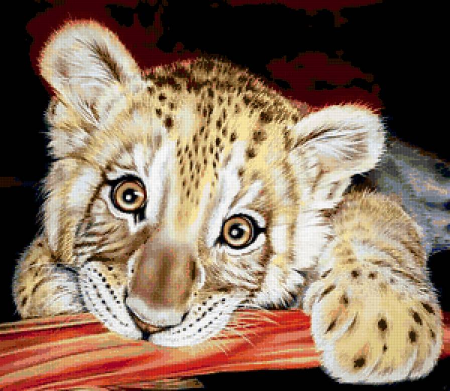 Такие грустные глаза - животные - предпросмотр