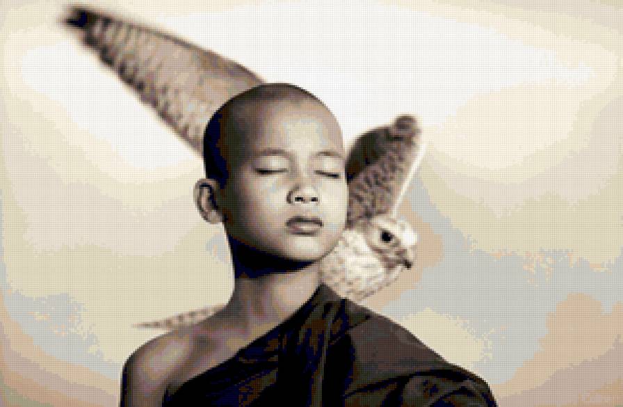 Мальчик и сокол - предпросмотр