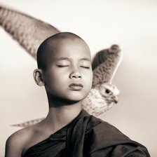 Мальчик и сокол