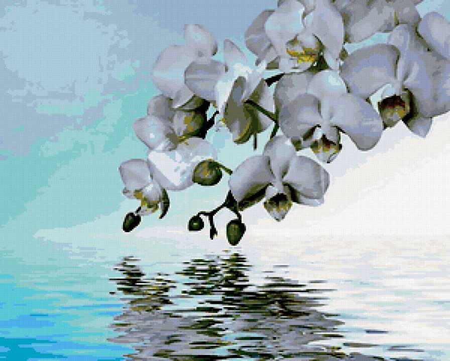 из цикла Орхидеи... - предпросмотр