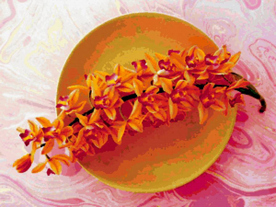 из цикла Орхидеи... - предпросмотр