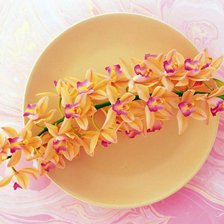 из цикла Орхидеи...