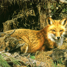 Схема вышивки «серия ,,животные"»