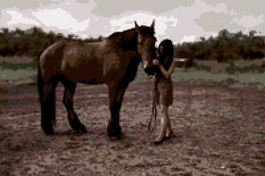 девушка с лошадью - девушка, лошадь - предпросмотр