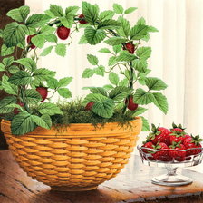 Схема вышивки «худ.r .cowdrey»