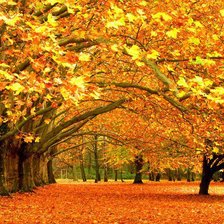 Схема вышивки «осень»