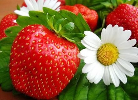 ягоды - ягоды - оригинал