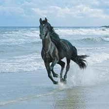 Схема вышивки «свобода»