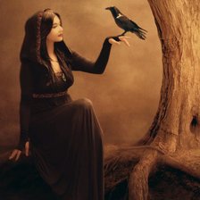 Схема вышивки «Ворон»