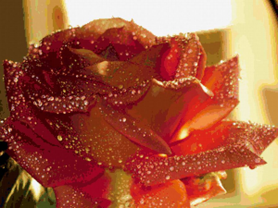 из цикла Розы - предпросмотр