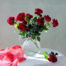 из цикла Розы