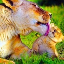 Схема вышивки «МАМА.»